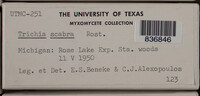 Image Associated With the Occurence